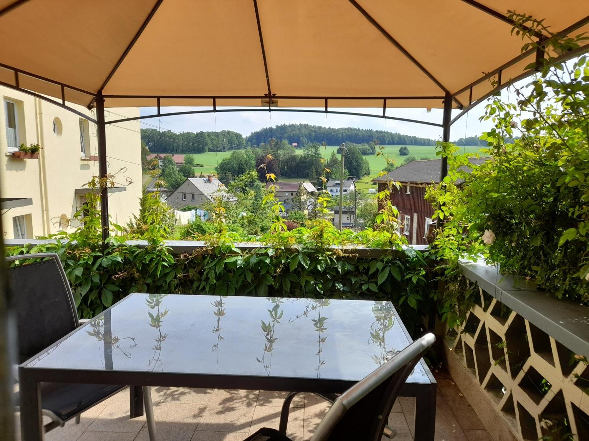Wolfsbergblick Appartement Reinhardtsdorf-Schona Buitenkant foto