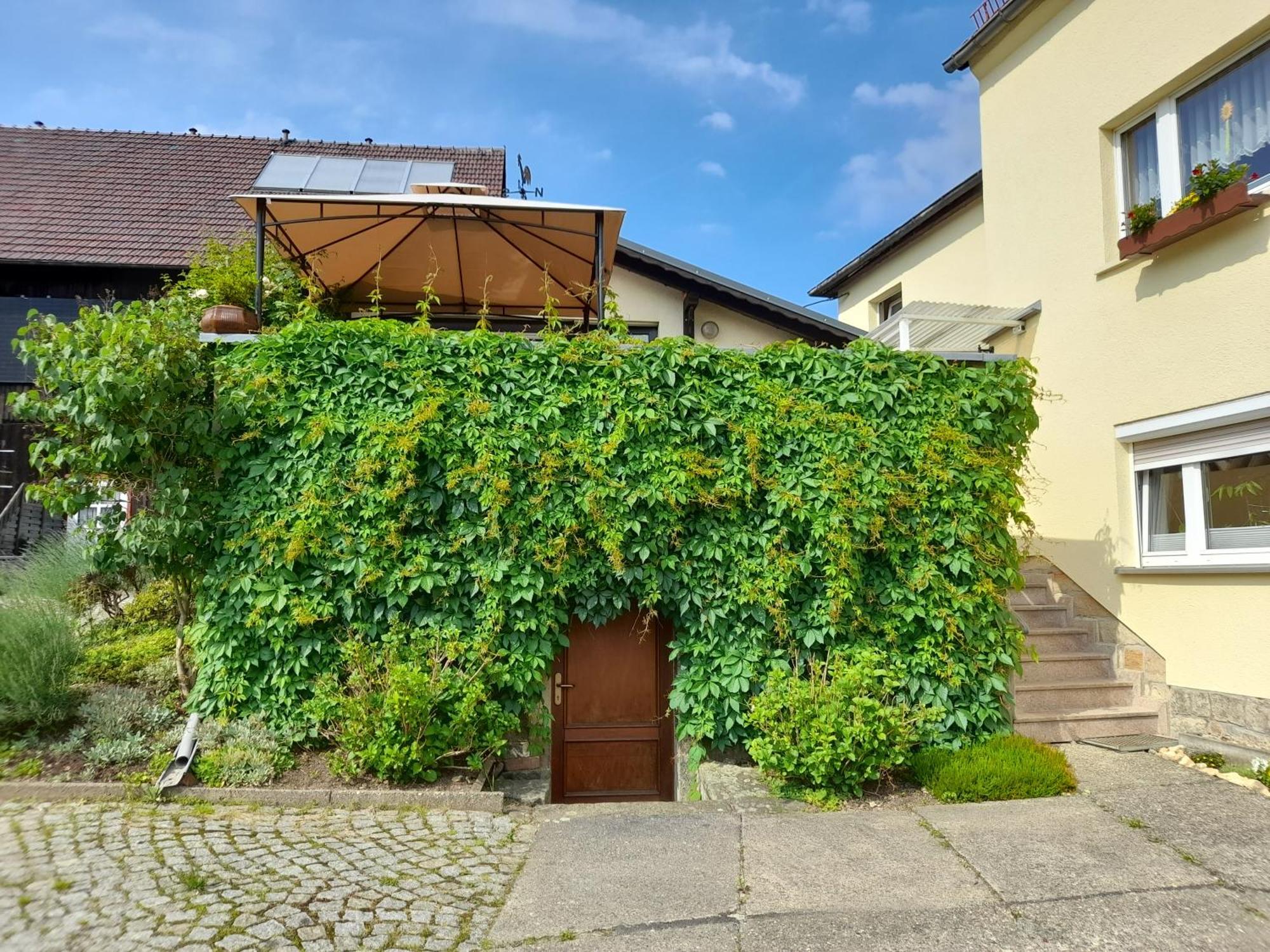 Wolfsbergblick Appartement Reinhardtsdorf-Schona Buitenkant foto